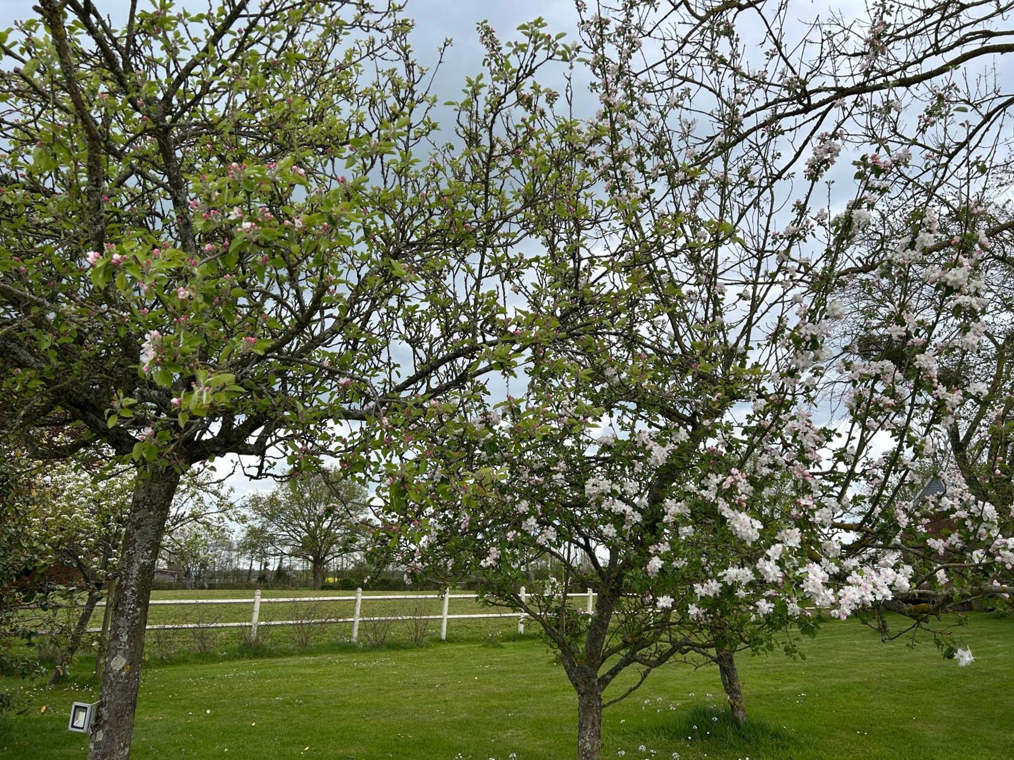 La Maison De L'Etang Manerbe Bagian luar foto